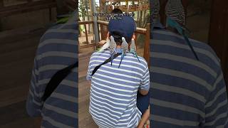 대구 근교 동물체험 어디 갈까? 경주 버드파크 다녀왔어요. 앵무새가 팔에 착 올라오는 순간, 눈이 동그래졌답니다 #경주버드파크 #경주여행 #경주가볼만한곳 #경주아이랑가볼만한곳