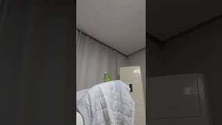 아마존앵무새 말하고 놀아주기