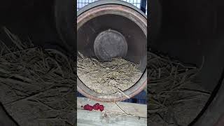 아마존(C)가 산딸기 를 많이 먹던니 좋은 소식 주었네…