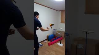 썬코뉴어 앵무새 호출훈련 날아라 날아라