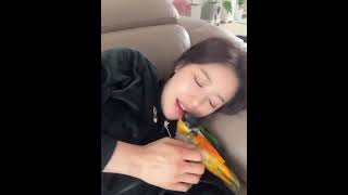 힐링 영상 (with 반려조)