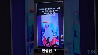 앵셉션.. 분신술의 그녀.. #birds #parrot…