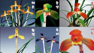 12월14일 오늘도 명명품으로 화예품과 몇가지 더 준비…