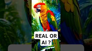 Amazon Parrot #shorts #trending #animals #wildlife