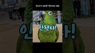 한겨울이 아이스크림은 안돼! 잔소리꾼#아랑이 #아마존앵…