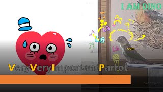 [닥터멜론] 코뉴어 노래 클래식 따라부르기 (잘하고싶은) 