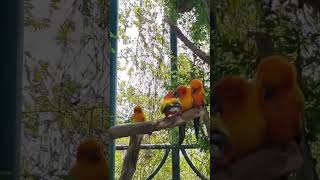 내가 제일 좋아하는 썬코뉴어