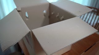 우리집 새 식구 '뚜비'를 소개합니다