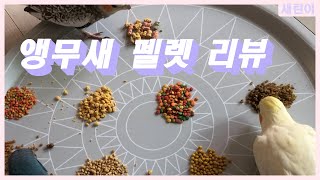 (내돈내산)앵무새 펠렛 리뷰
