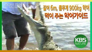 길이 6m, 몸무게 900kg 악어에게 먹이주는 악어가…