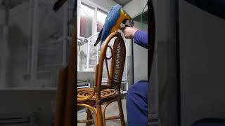 청금강 발목링.교체작업