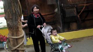 100511_133424쥬쥬_앵무새마을 .MP4