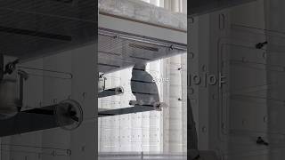 혼자 있으면 항상 수다쟁이 #앵무새 #회색앵무 #수다쟁…