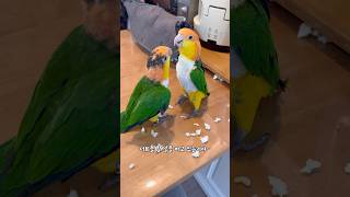 고장난 물건도 다시 보는 카이큐!