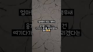 엄마한테 대드는 앵무새 #앵춘기 #한스마카우 #앵무새 #말하는앵무새