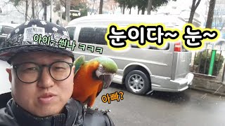 눈이오는날 아빠와 자유비행하는 교감의 끝판왕 마르코 / 구독자 1000명 감사인사 ♡