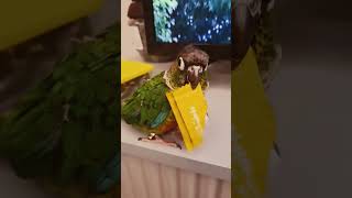 랄라♡그려보았습니당♡