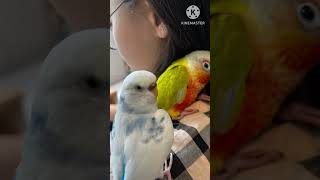 울집 새식구를 소개합니다!