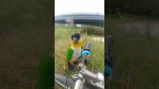 카이큐(와~웃겨)