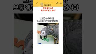 천재 앵무새가 죽기 전에 남긴 말은?