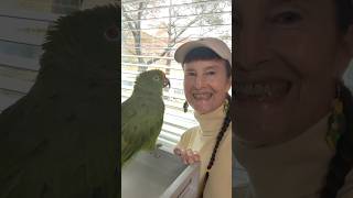 Freedom the Parrot, Karen's Am…