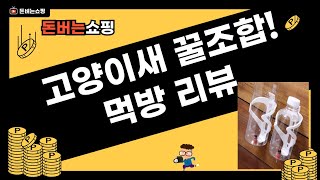고양이새 꿀조합! 챠오/코뉴어 사료+미트볼+물통 리뷰