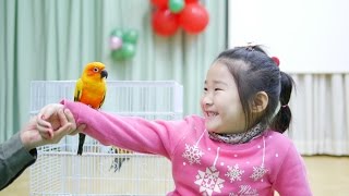 정글스토리 썬뉴코어,청금강