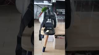 21.03.17 / 12:29 p.m. 코뉴어 바미 (…