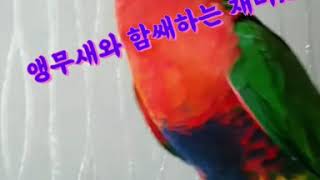 오프닝 애니메이션 이거 어떤가요? 오프닝 입니당 댓글에…