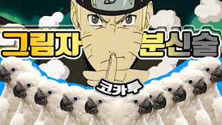 강아지야 새야 둘 중 한가지만해!(코카투 앵무새)