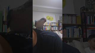 [퀘이커 앵무] 엄마 물고, 자기가 아 #parrot …