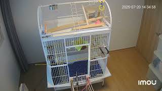 #딸기퀘이커#  함께 웃어봐요