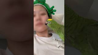 앵무새랑 드라마보기 (feat. 나인퍼즐)