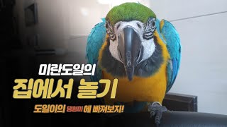 [일상][청금강]혼자 잘노는(?) 도일이는 행복해