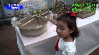 세계 희귀 앵무새 전시행사 첫날 풍경