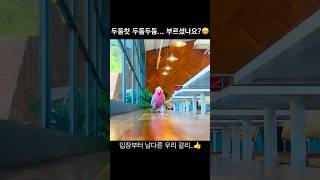 입장부터 남다른 갈맄ㅋㅋ 귀여워 #알파카월드 #앵무새 #갈라코카투 #갈리 #귀여운 #동물 #alpacaworld  #parrot #사육사 #알대리 #구독 #좋아요 #댓글 #쇼츠