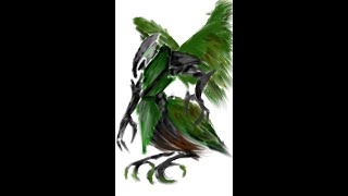 (하루하나 1day 1)쟈딘앵무 하피 캐릭터화 그리기