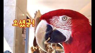 금당이의 반가운 손님