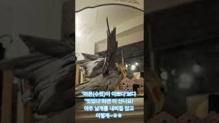 라몬이는 칭찬받으면 기부니가 좋아서 더 열심히 만세! …