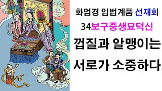 용학스님tv木魚 화엄경 입법계품 보구중생묘덕신 2교시