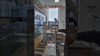 코카투는 사랑무새, 밀당의 귀재, 매일 받아도 좋은 고백공격♡