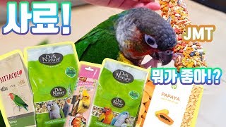 사료 한 박스 가져왔습니다