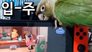 모여보라 해놓고 못 모이게 하는 숲에 가고 싶은 조룡종…