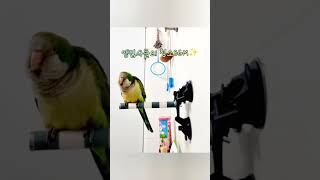 마리가 좋아하는 노래에요 너무 보고싶어.. #똥마리 #…