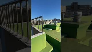 청금강앵무새 대박이 자유비행