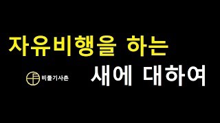 자유비행을 하는 새에 대하여