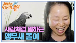 ‘기가 막힌다’ 사람처럼 말을 하는 언어 천재 앵무새ㅣ…