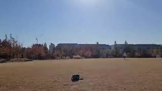 노란머리카이큐의 비행