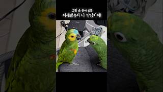 이 새발놈아 나도 쌍남자라고 그만쫒아와!!! #아랑이 …