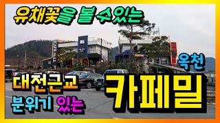 대전근교 분위기 좋은 카페, 옥천 유채꽃단지와 가까운 …